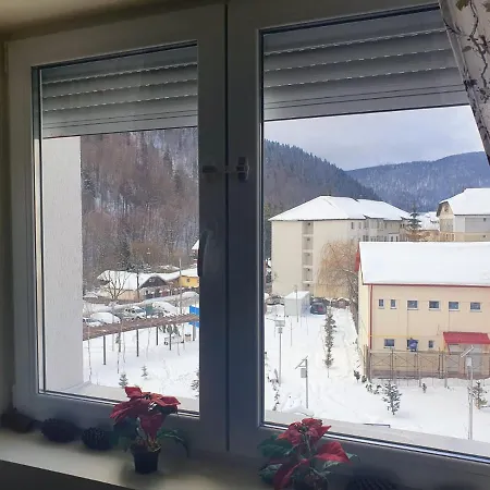41 Apartment Azuga